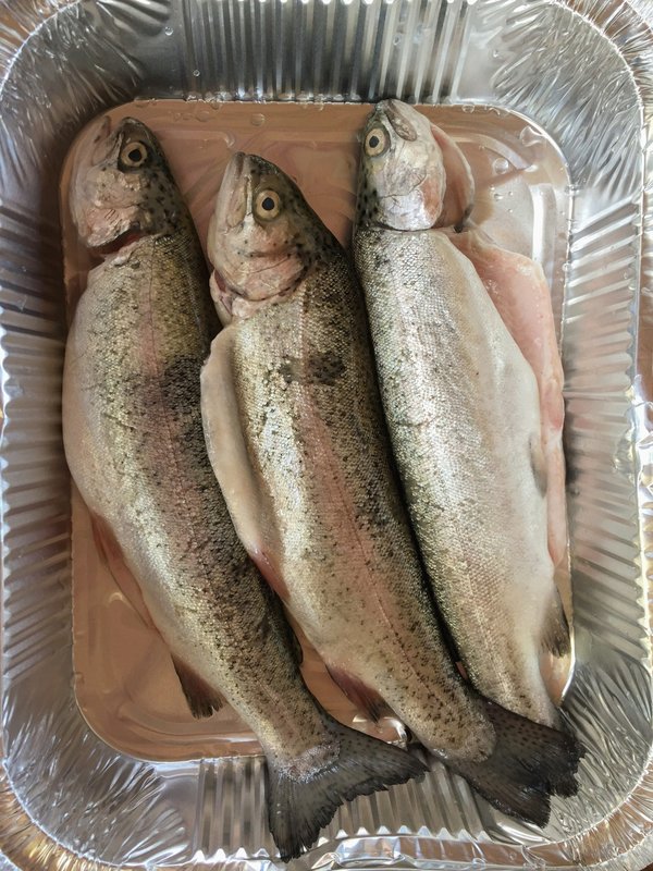 La pêche aux leurres de la truite et des carnassiers écoresponsable